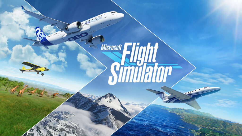 Microsoft Flight Simulator